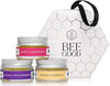 Lip Balm Gift Set - Natural Honey and Beeswax Lip Balm Trio