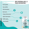 Liposomal NAD+ 500mg with Trans-Resveratrol 300mg Softgels | Actual NAD+ Supplement | 2-in-1 Anti Aging Formula for Cellular Repair, Promote Longevity & Vitality (Pack of 2)