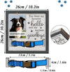 Keepsake Dog Cat Dog Photo Frame Quality Solid Wood Memorial Your Pet Product Size: 23 x 23 cm / 9 x 9 Inches