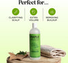 Refreshing Tea Tree Shampoo - Clarifying Shampoo for Oily Hair and Dry Scalp with Jojoba Oil and Rosemary Oil - Cleansing Sulphate Free Shampoo with Essential Oils for Build up and Flakes - 473ml
