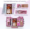 Makeup Case Vanity Box 4 Trays Beauty Organiser Case Cosmetic Storage Box with Locks, Pink