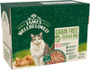 Grain Free Adult Cat Food with Salmon in Jelly Pouch 12 x 85g