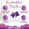 Sugar Free Sleep Gummies x 60 | with Griffonia Seed Extract | Natural Berry Flavoured | Gummy up +