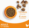 Complete Dry Cat Food for Adult 1+ Cats with Chicken 10 kg