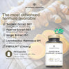 Turmeric Curcumin 95% with Bioperine®, Probiotics 2 Billion UFC & Ginger, 130 Days of 10.000 mg CurQreal® Curcumin, Prebiotics, Anti-inflamatory, Antioxidant, Supports Digestion