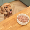 Natural Adult Wet Dog Food Trays Weekend Favourites Mixed Pack 6 x 150g