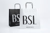 Branded Twisted Handle Paper Bags - We Print And Ship - 250 units start from only £117 inc vat