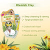 Blemish Mud Face Masque 20g