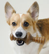 Indestructible Dog Chew Toy Gift Box for Aggressive Chewers with Wishbone, Fishbone, Stick & Zaggler, Long Lasting Boredom Breakers, 100% Real Flavours, For Small Dogs, Made in the USA.