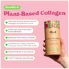 Plant Collagen 150g | 30 Servings | Increase Collagen Production for Healthier, Younger Looking Skin | Daily Source of Vitamin C | Clinically Proven Benefits with Astrion | Certified B Corp