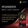 Espresso Splendente Coffee Pods x10 Intensity 7 (Pack of 10, Total 100 Capsules)