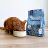 All Natural Dry Kitten Food with 77% Chicken, High Protein Food for Growing Kittens, 2.5Kgpackage may vary