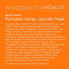 Pumpkin Honey Glycolic Mask 50 ml