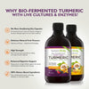 Bio-Fermented Turmeric with Live Cultures and Enzymes - Fermented High Strength Liquid Turmeric Supplement with Black Pepper & Ginger Equivalent to 2 Turmeric Capsules (2-Pack Mixed Flavours)