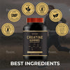 Creatine Gummies 5000mg 120 Gummies 60 Days Supply Creatine Monohydrate Gummies - Berry Flavoured Creatine - Pre Workout Gym Supplement for Men & Women - Vegan Chews Chewable Max Strength