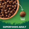 Superfoods Complete Grain Free Hypoallergenic Salmon with Veg Dry Adult Dog Food 12kg - Made with All Natural Ingredients