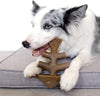 Durable Dog Chew Toy Box for Aggressive Chewers with Wishbone, Fishbone, Stick & Zaggler, Medium