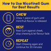 Nicotine Gum, Quit Smoking Aid, Fruit Flavour, 2 mg, 204 Pieces