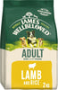 Adult Lamb & Rice 2 kg Bag, Hypoallergenic Dry Dog Food