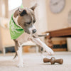 Durable Dog Chew Toy Box for Aggressive Chewers with Wishbone, Fishbone, Stick & Zaggler, Medium