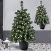 Pre-Lit Artificial 3ft Christmas Tree - MULTI COLOUR/WARM WHITE Mini Xmas Tree with Pot - Indoor/Outdoor - Battery Operated Doorway LED Christmas Tree (90cm)