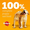 Puppy - Wet Dog Food - for Junior Dogs - Can Mixed Selection in Jelly - 6 x 400g