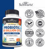 Probiotic 65 Billion - Probiotics with Prebiotic for Women & Men - Lactobacillus Acidophilus Digestive Health Capsules - Targeted Release Technology - Shelf Stable Supplement Non-GMO -30ct