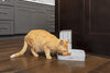 2 Meal Automatic Feeder, Built-in Timers, BPA Free Food Bowl, Suitable for Dry Food,Grey