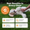 Probiotics for Dogs | Supports Gut & Digestive Health | Probiotic Supplements for Digestive Care & Digestive Treats | Dog Probiotics for Gut Health Supplements | 90 Pcs