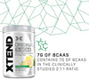 XTEND Original BCAA Powder Lemon Lime Squeeze 30 Servings | 7g BCAAs Per Serving | Sugar Free Branched Chain Amino Acids and Electrolytes Powder for Post Workout Muscle Recovery and Hydration