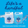 Original Professional Antibacterial Hand Wash - Bulk Buy Eco Refill, Gentle & Effective Liquid Hand Soap (2 X 5L)