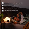 "Sunrise Simulation Alarm Clock -  Bodyclock Rise 100 with Multicolour Sunset, Wake Up Naturally"