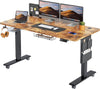 Height Adjustable Standing Desk Electric Standing Desk Sit Stand Desk Stand up Desk with Cable Tray 120 * 60Cm Desktop for Home Office