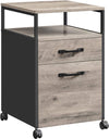 "Stylish and Functional  2-Drawer File Cabinet with Wheels - Perfect for Organizing Your Office Space!"