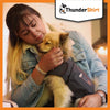 "ThunderEase Calming Jacket for Dogs: Instant Relief for Anxiety, Fireworks, Travel, and Thunderstorms - Grey (5 Sizes Available, Large)"