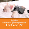 "ThunderPaws Calming Vest: Soothe Your Pup in Style! - Gray, Small"